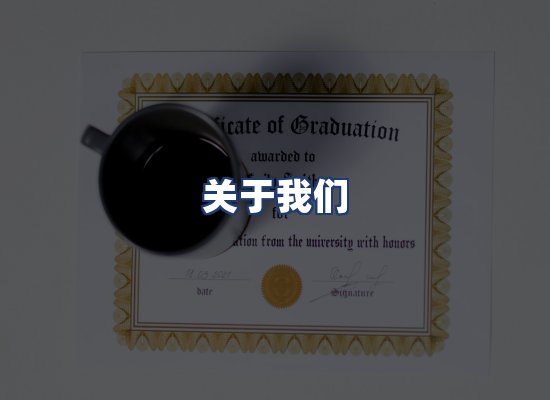 关于我们